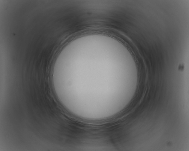 X0000096660701200802051219