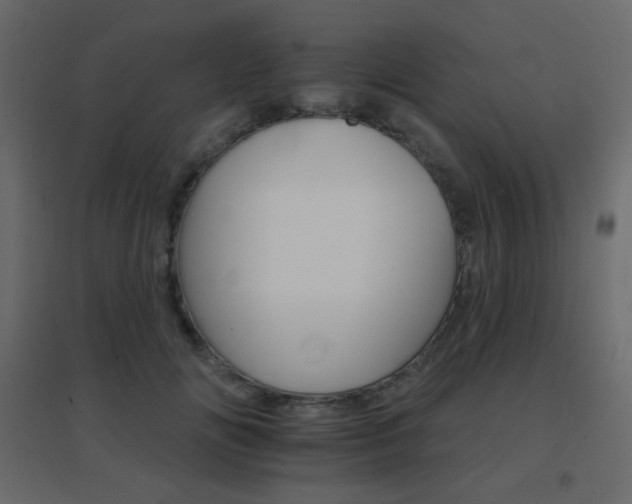 X0000096660702200802051219