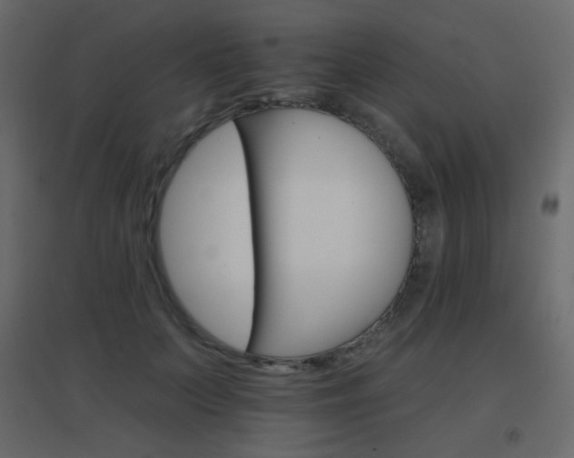 X0000096660703200802051219
