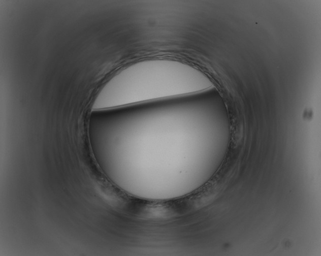X0000096660704200802051219