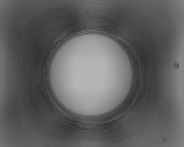 X0000096660705200802051219