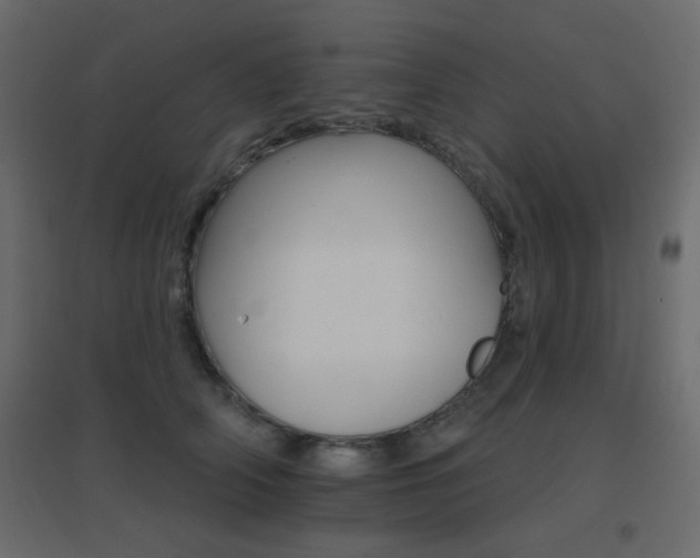 X0000096660706200802051219