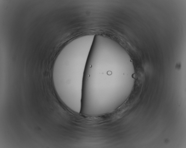 X0000096660707200802051219