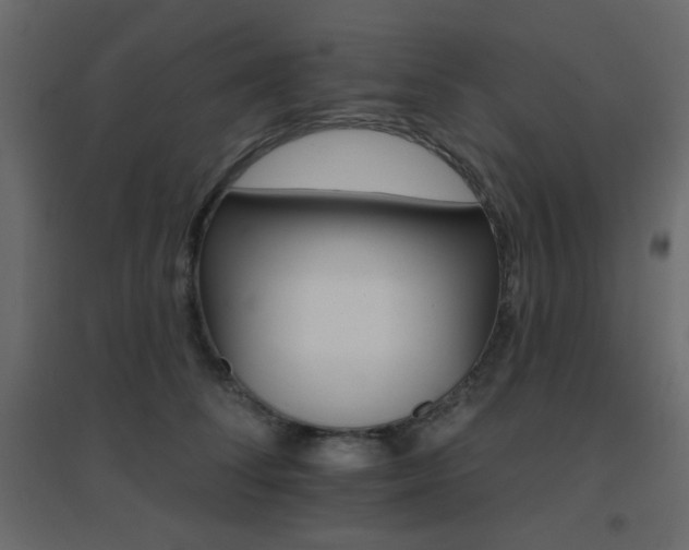 X0000096660708200802051219