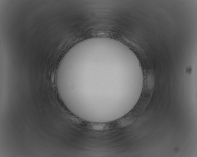X0000096660709200802051219