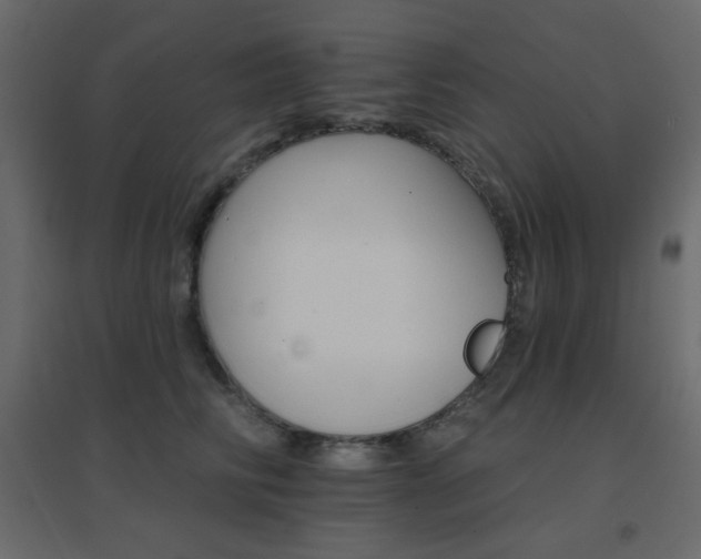 X0000096660710200802051219