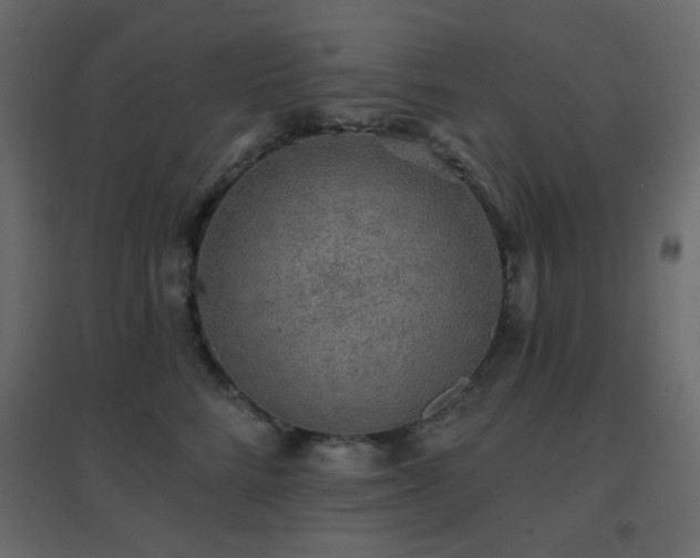 X0000096660712200802051219