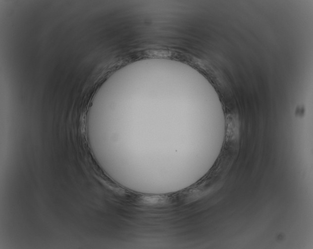 X0000096660713200802051219