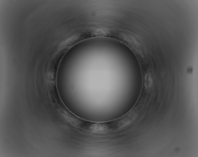 X0000096660714200802051219