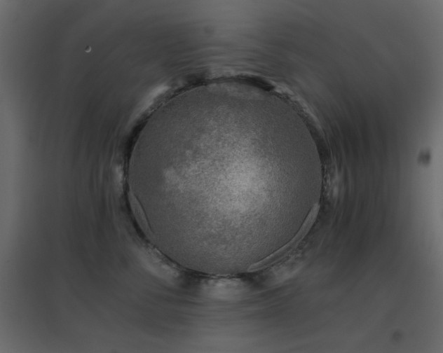 X0000096660716200802051219