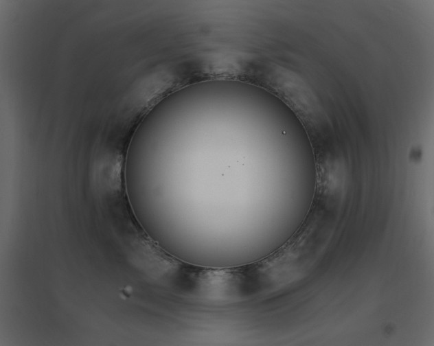 X0000096660717200802051219