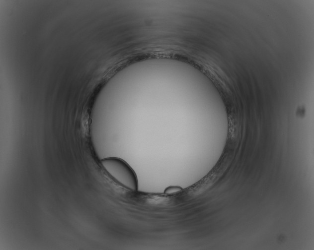 X0000096660718200802051219