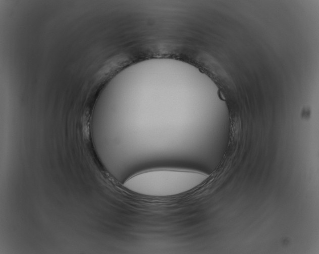 X0000096660719200802051219