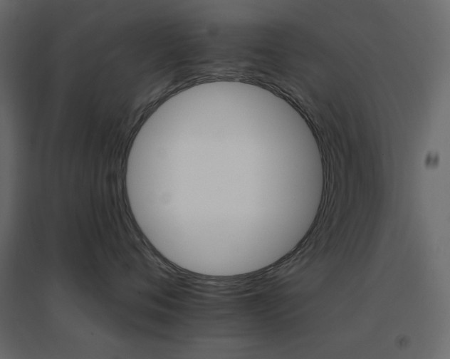 X0000096660720200802051219