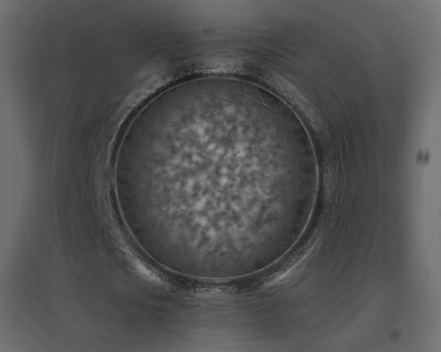 X0000096660721200802051218