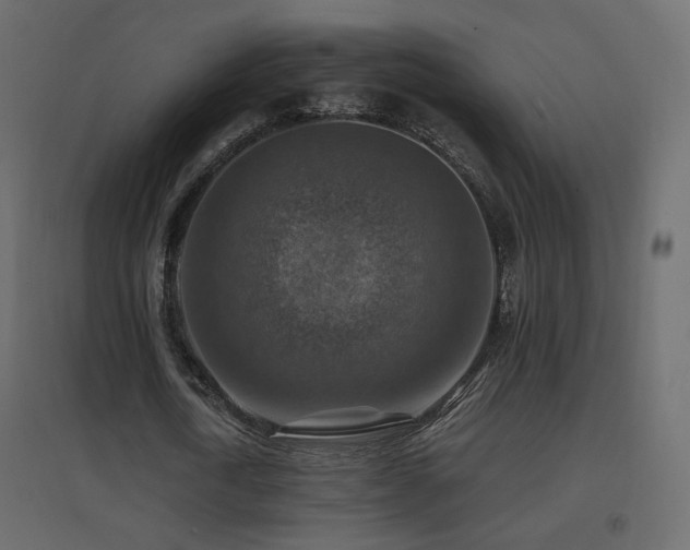 X0000096660722200802051218