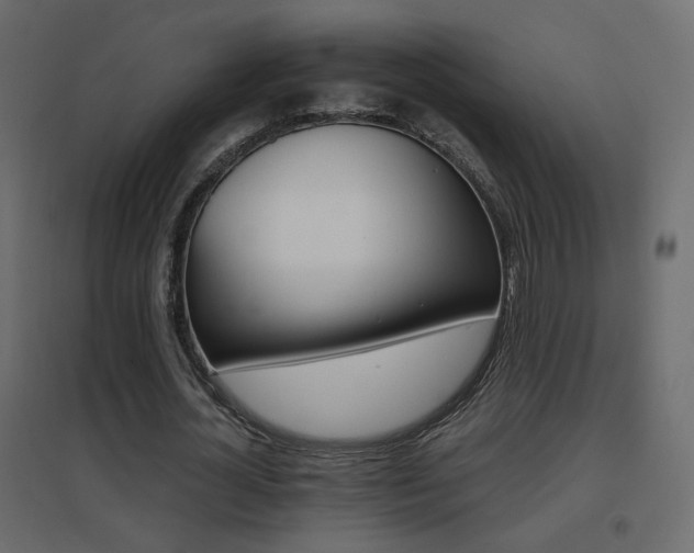 X0000096660724200802051218