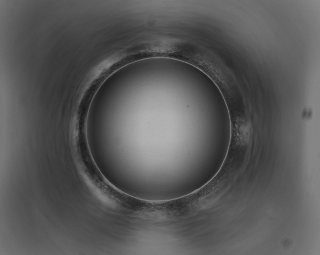 X0000096660726200802051218