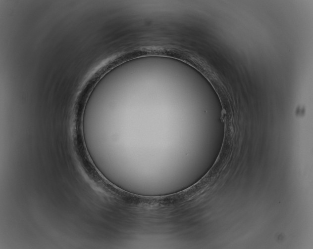 X0000096660728200802051218