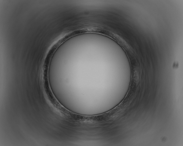 X0000096660730200802051218