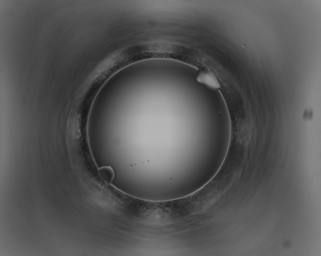X0000096660731200802051218