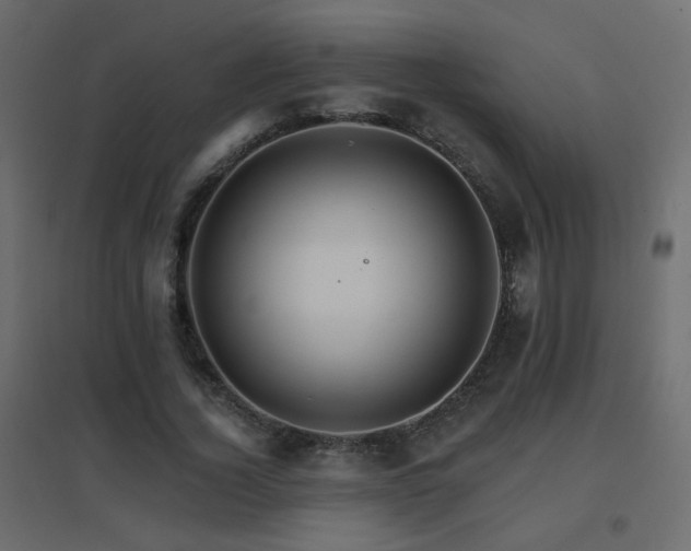 X0000096660732200802051218