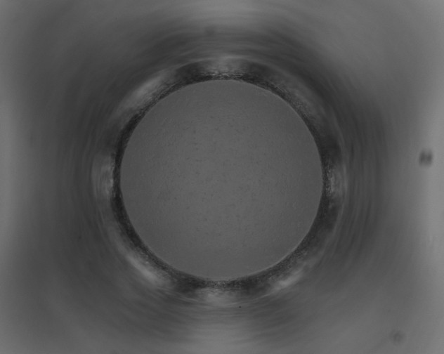 X0000096660733200802051218
