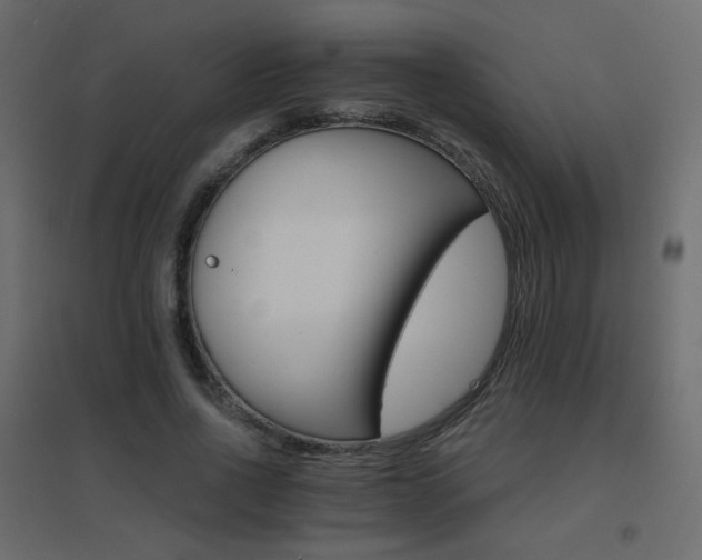 X0000096660734200802051218