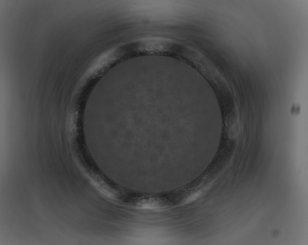 X0000096660735200802051218