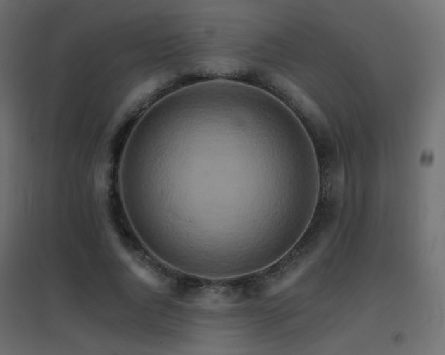 X0000096660736200802051218