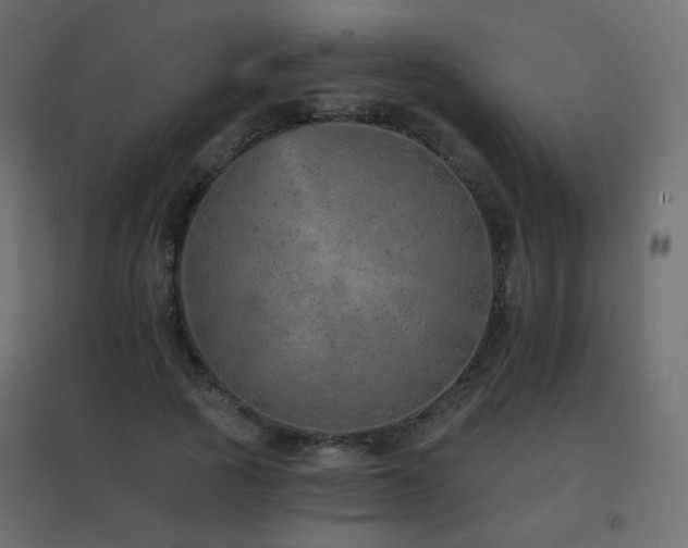 X0000096660737200802051218