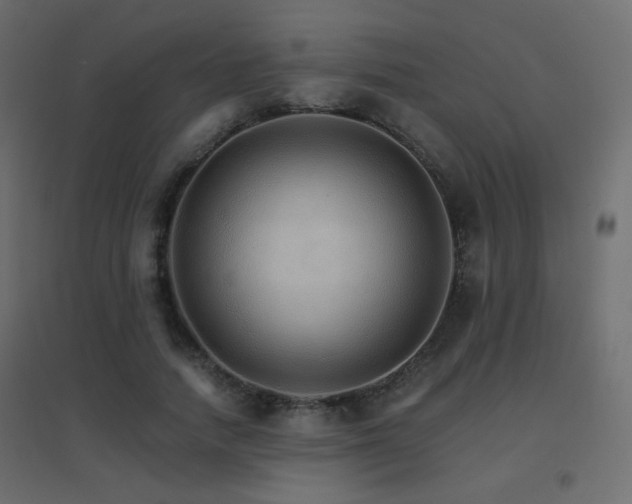X0000096660738200802051218