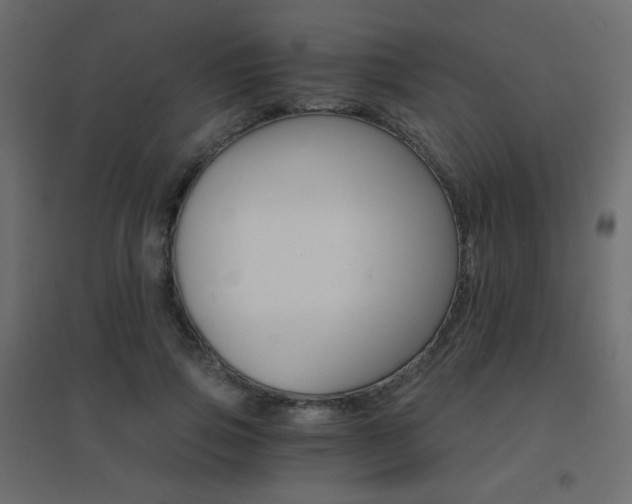 X0000096660741200802051218