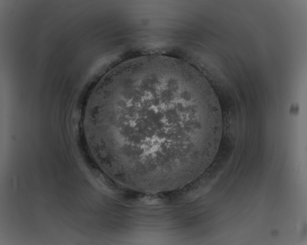 X0000096660742200802051218