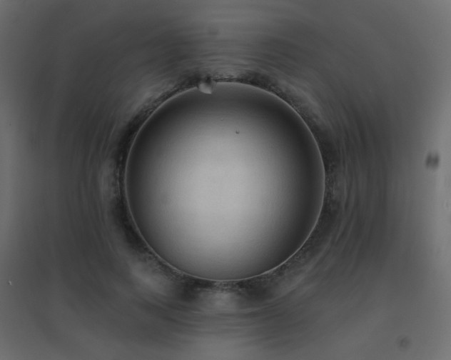 X0000096660743200802051218