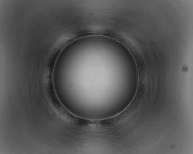 X0000096660744200802051218