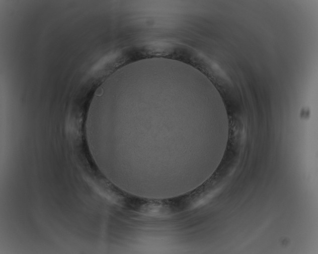 X0000096660745200802051218
