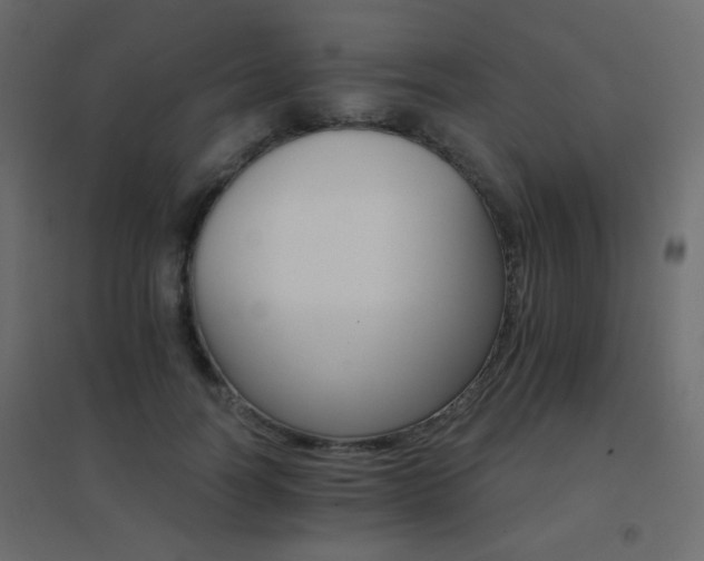 X0000096660746200802051218