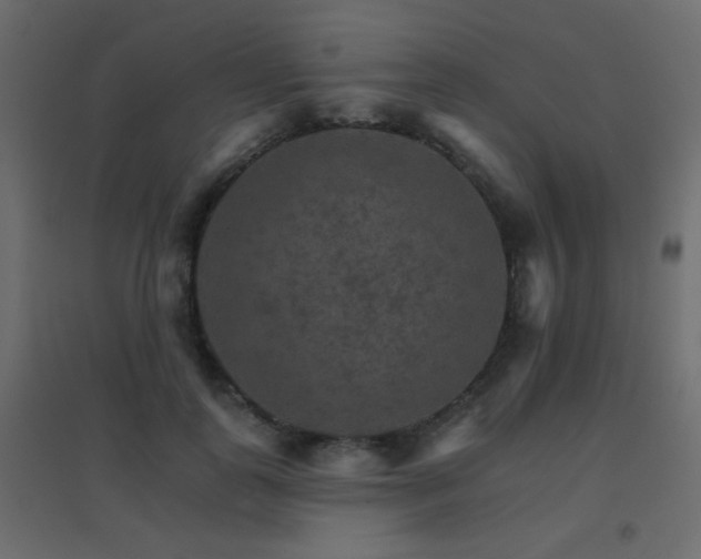 X0000096660747200802051218