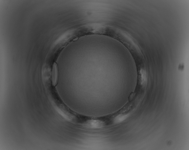 X0000096660748200802051219