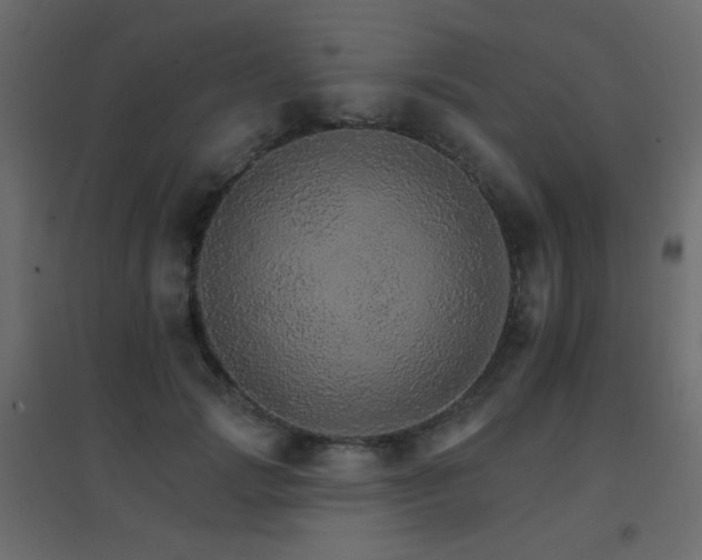 X0000096660749200802051219