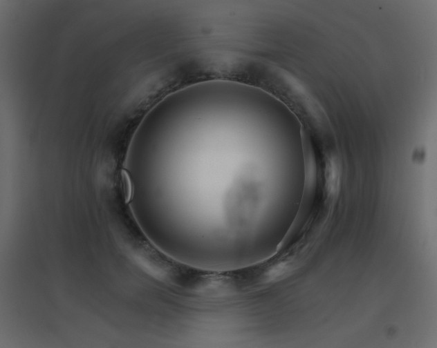 X0000096660750200802051219