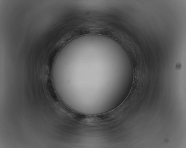X0000096660752200802051219