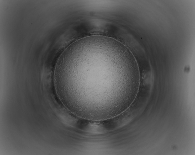 X0000096660753200802051219