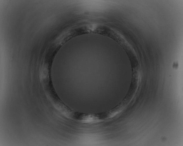 X0000096660754200802051219