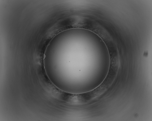 X0000096660755200802051219