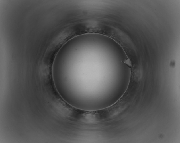 X0000096660756200802051219