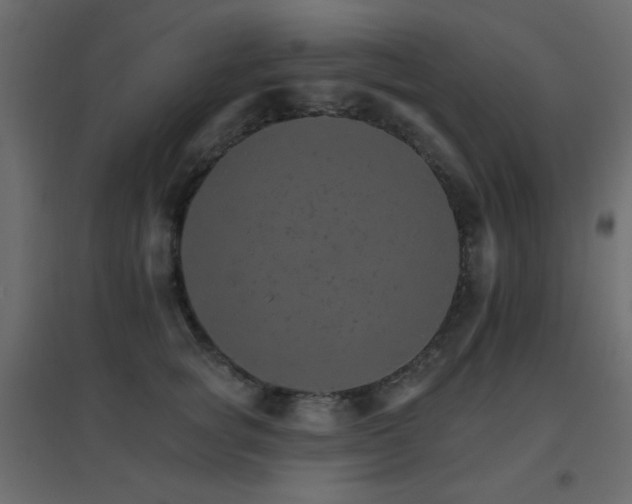 X0000096660757200802051219