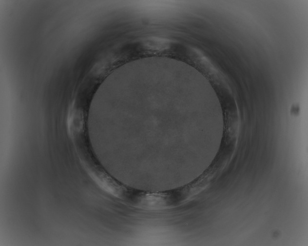 X0000096660758200802051219