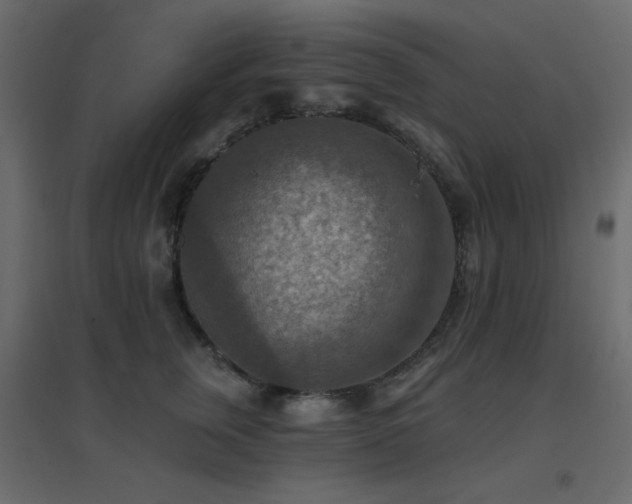X0000096660759200802051219